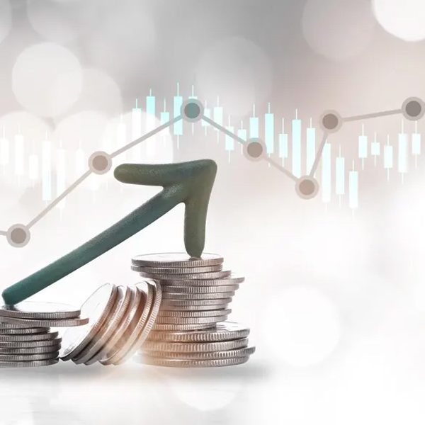 Revenue Stream Diversity